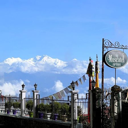 Muscatel Nirvana - At The Mall Road Darjeeling  Ngoại thất bức ảnh